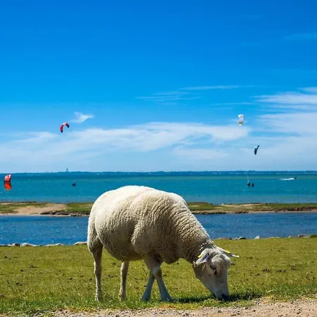Ferienwohnung-seestern * Petersdorf auf Fehmarn